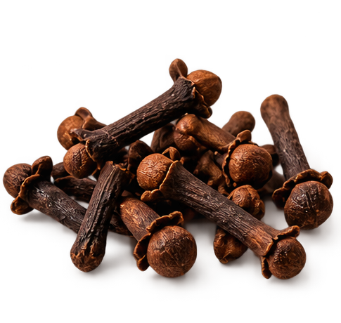 Clove